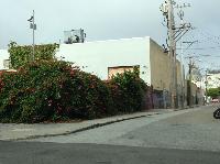 IMG_5732.JPG