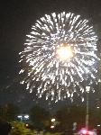 IMG_5495.JPG