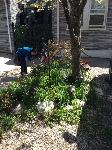 IMG_3571.JPG