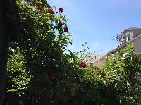 IMG_3890.JPG