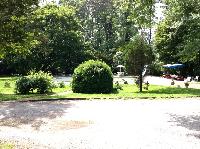IMG_5827.JPG