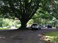 IMG_5831.JPG