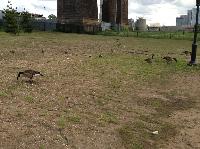 IMG_5902.JPG