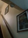 IMG_5467.JPG