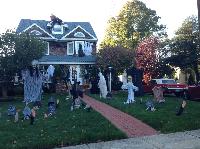 IMG_8275.JPG