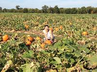 IMG_7895.JPG