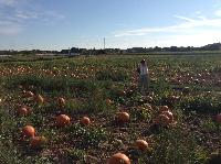 IMG_7901.JPG