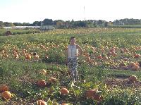IMG_7906.JPG