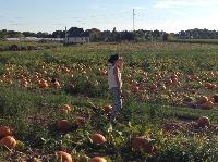 IMG_7911.JPG