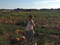 IMG_7924.JPG
