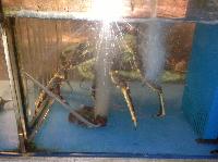 IMG_8874.JPG