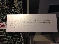 IMG_9956.JPG
