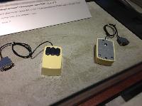IMG_9976.JPG