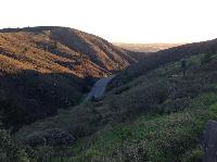 IMG_9600.JPG