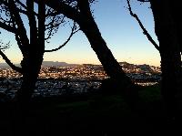 IMG_9606.JPG