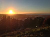IMG_9620.JPG