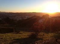 IMG_9638.JPG