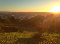 IMG_9642.JPG
