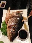 IMG_3040.JPG