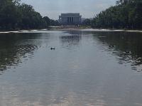 IMG_5105.JPG