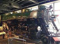 IMG_4981.JPG