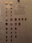 IMG_5031.JPG