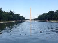 IMG_5115.JPG