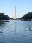 IMG_5126.JPG