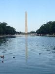 IMG_5127.JPG
