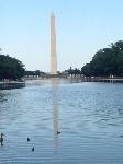 IMG_5128.JPG