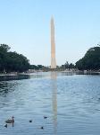 IMG_5130.JPG