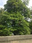 IMG_9190.JPG