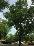 IMG_9195.JPG