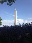 IMG_9310.JPG