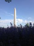 IMG_9311.JPG