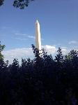 IMG_9312.JPG