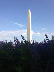 IMG_9314.JPG