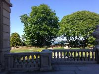 IMG_9773.JPG