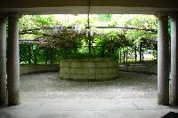 DSC_1186.JPG