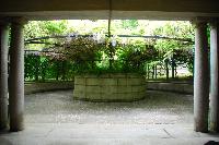 DSC_1187.JPG