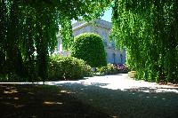 DSC_9903.JPG