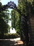 IMG_9727.JPG