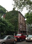 IMG_7926.JPG
