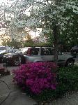 IMG_4774.JPG