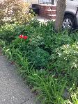 IMG_9141.JPG