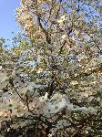 IMG_9143.JPG