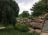 IMG_0509.JPG