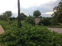 IMG_0519.JPG