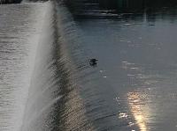 IMG_9446.JPG