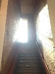 IMG_1231.JPG